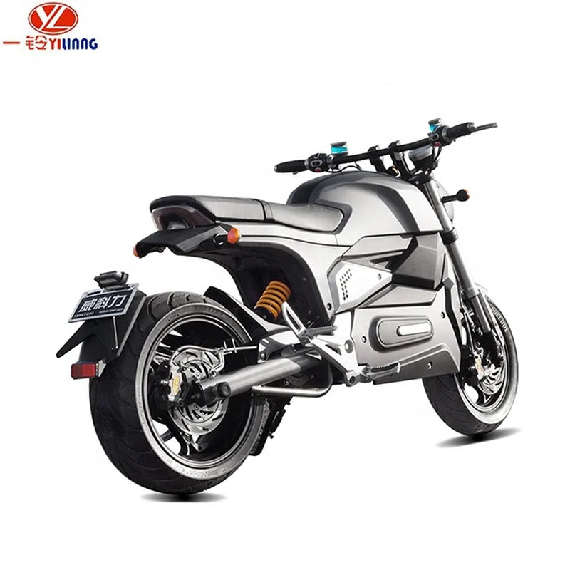 Fast 2000W 3000W Electric Motorcycle for Adults