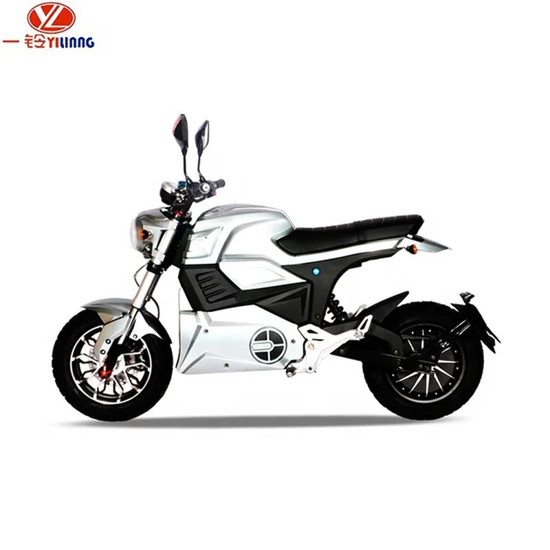  Fast 2000W 3000W Electric Motorcycle for Adults