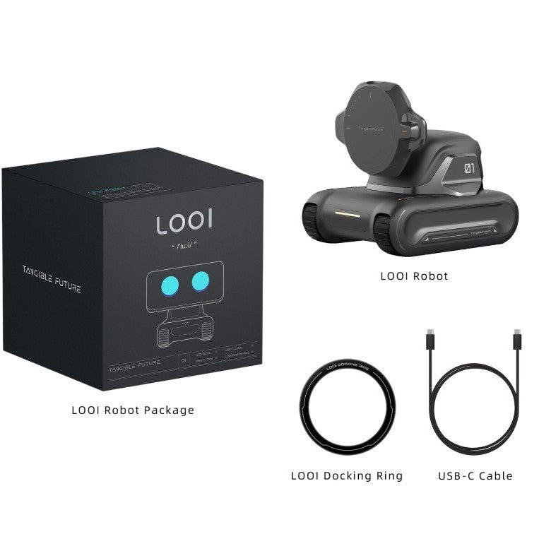 Intelligent AI Assistant Mobile Robot - Sheiloo