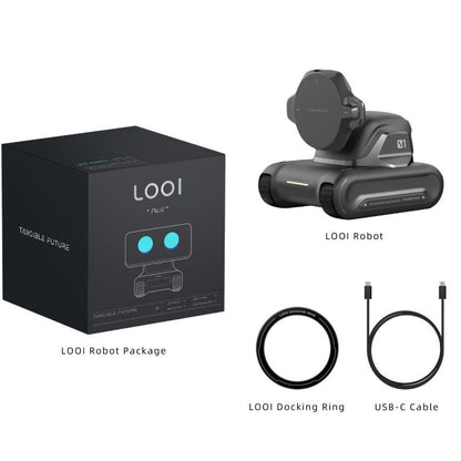 Intelligent AI Assistant Mobile Robot - Sheiloo