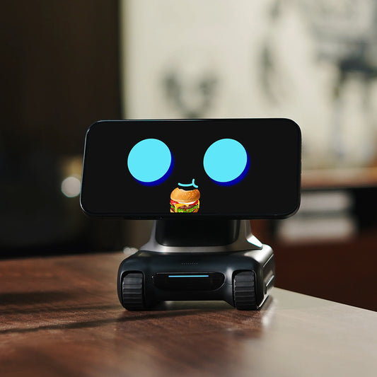 Intelligent AI Assistant Mobile Robot - Sheiloo