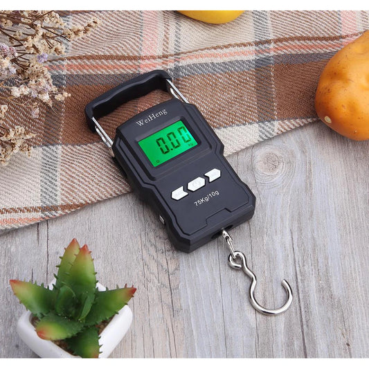  Portable Digital Scale